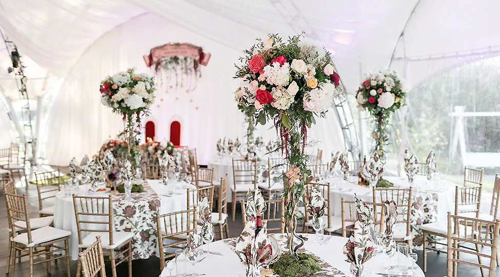 All about wedding tent rentals All about wedding tent rentals