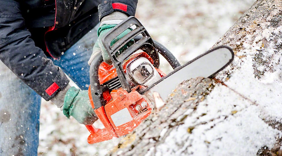 Reasons to Hire an Expert Tree Removal Service Reasons to Hire an Expert Tree Removal Service