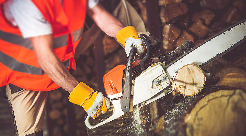 What are the crucial reasons for taking up professional tree removal services?